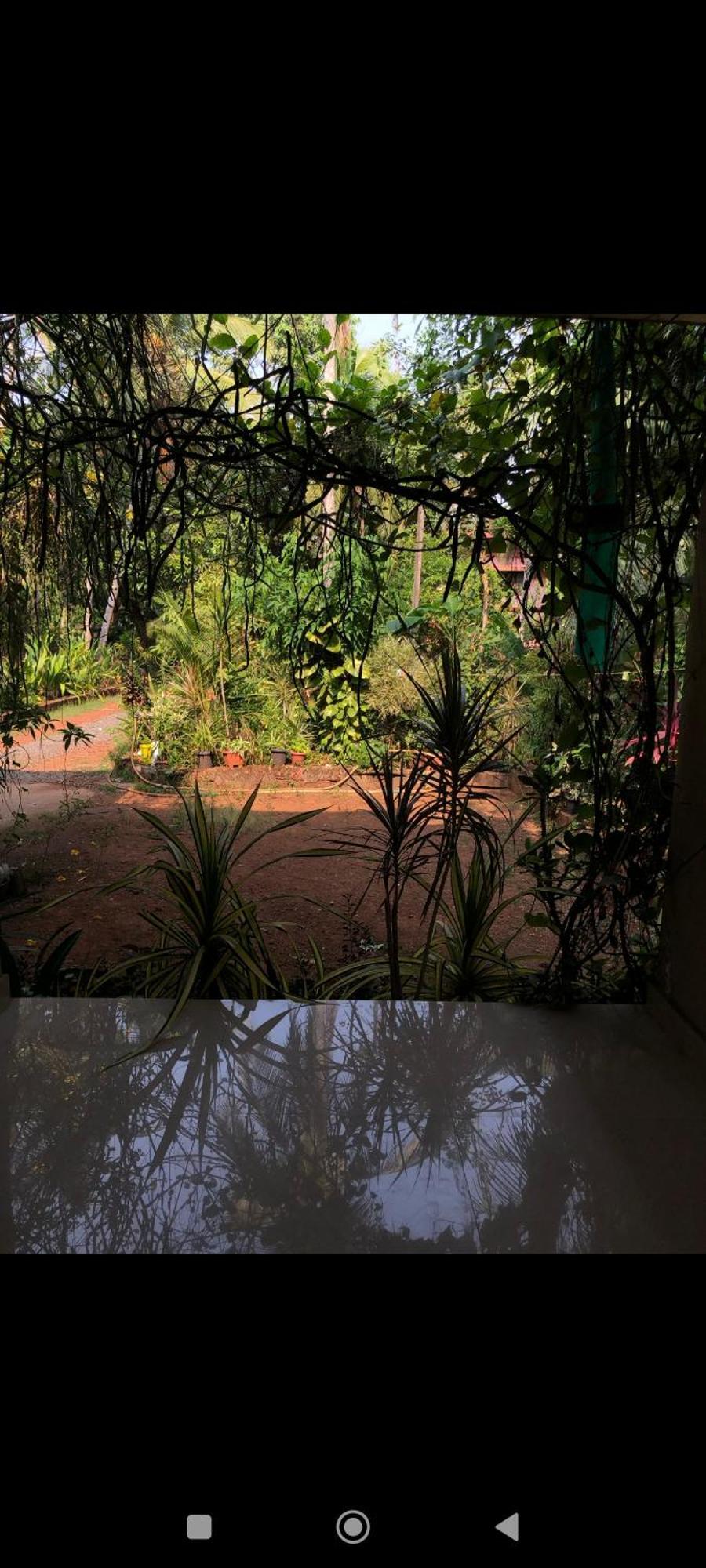 Narayanalayam Hotel Kannur Bagian luar foto